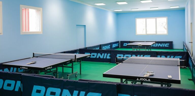 Átadták az első asztalitenisz-csarnokot Füzesabonyban az Aktív Magyarország Program keretében