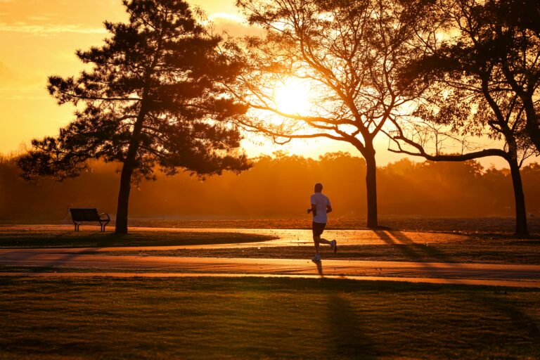 Silhouette of a runner at sunrise in Stamford's serene park setting.