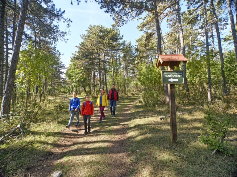 Vértes-Gerecse Térségi Aktív Turisztikai Fejlesztési Program partnerségi találkozó